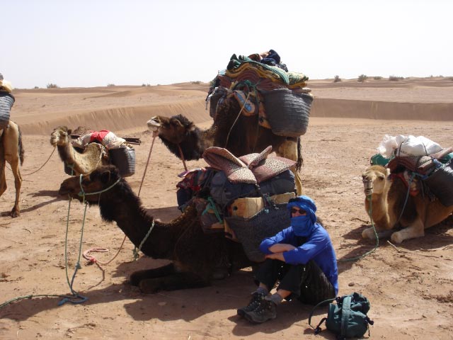 Resting by the camels